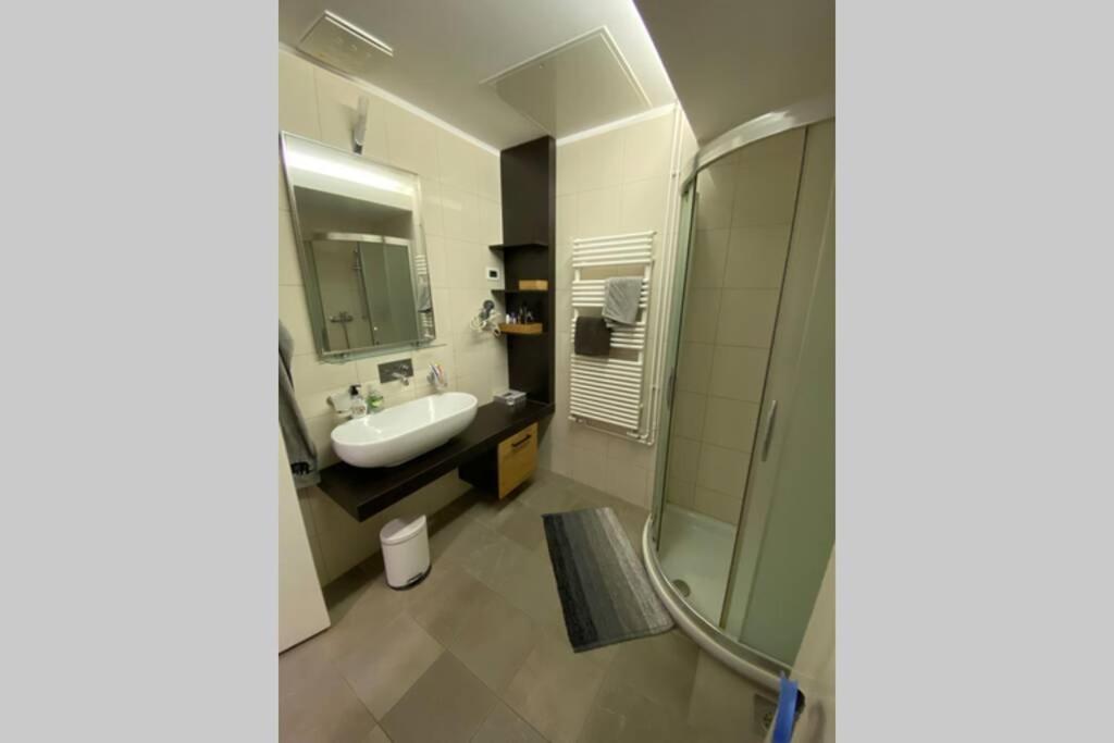 דירות קרנייסקה גורה Apartma Rozi מראה חיצוני תמונה