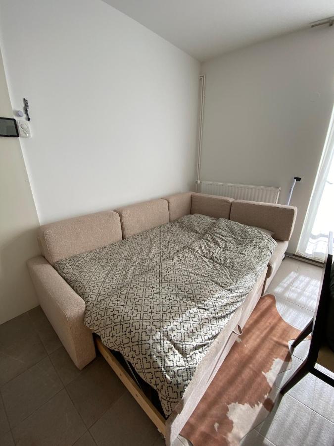 דירות קרנייסקה גורה Apartma Rozi מראה חיצוני תמונה